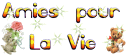 amies pour la vie